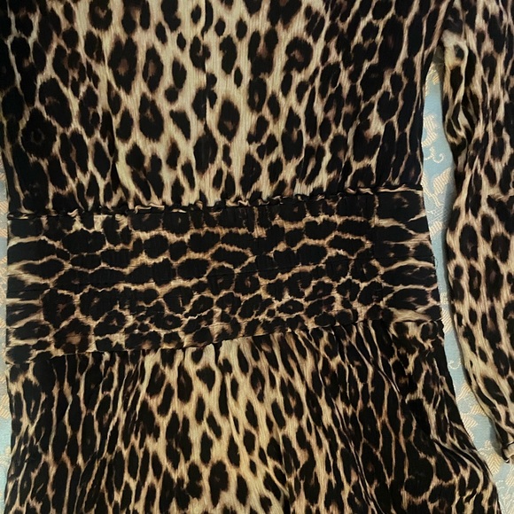 ALC leopard print silk dress - Picture 3 of 5